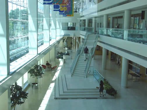 Rich Concourse